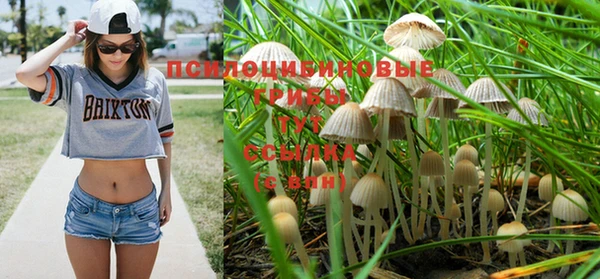 герыч Зерноград