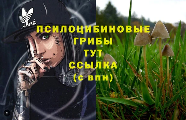 спайс Зеленодольск