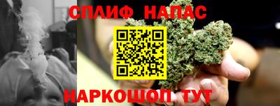 гашик Лесосибирск