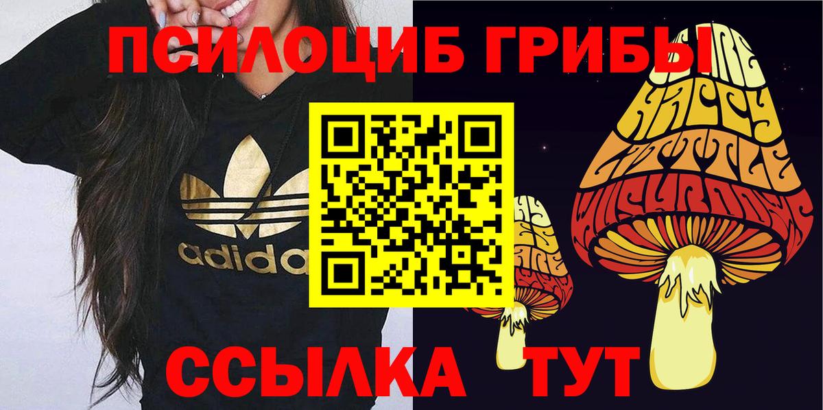 Каменск-Шахтинский  Псилоцибиновые грибы MAGIC MUSHROOMS  Псилоцибиновые грибы ЛСД  даркнет сайт  Вход с VPN 